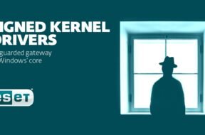 vulnerable signed kernel driver