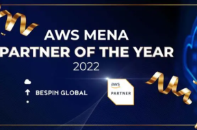 aws_mena_partner_of_the_year